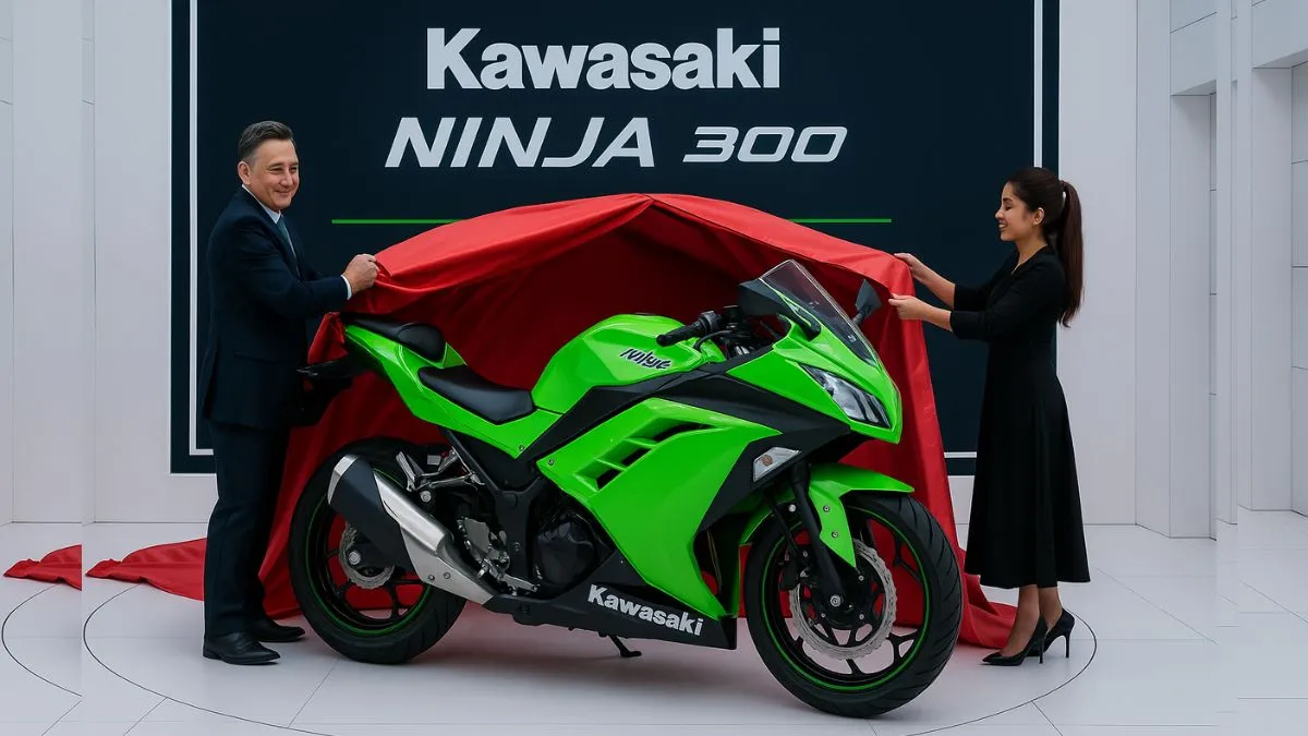 Ninja 300